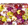 Educa - Collage de orquídeas | Puzzle de 1000 Piezas