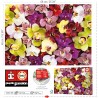 Educa - Collage de orquídeas | Puzzle de 1000 Piezas